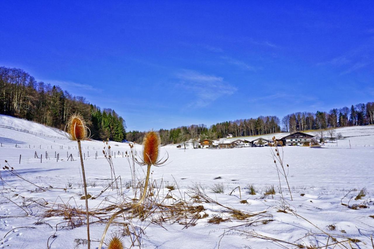 Ferienwohnungen Wanderparadies Bauernhof Aschau im Chiemgau Ngoại thất bức ảnh